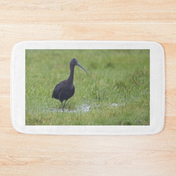 Item preview, Glossy Ibis designed and sold by LaurenTucker.