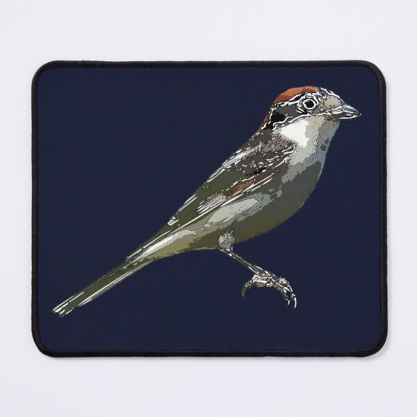 Item preview, Woodchat Shrike White Alternate Design designed and sold by designsasstultd.