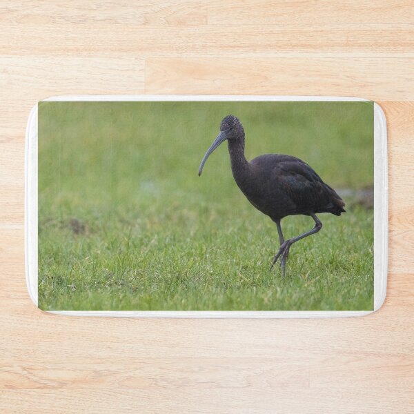 Item preview, Glossy Ibis designed and sold by LaurenTucker.