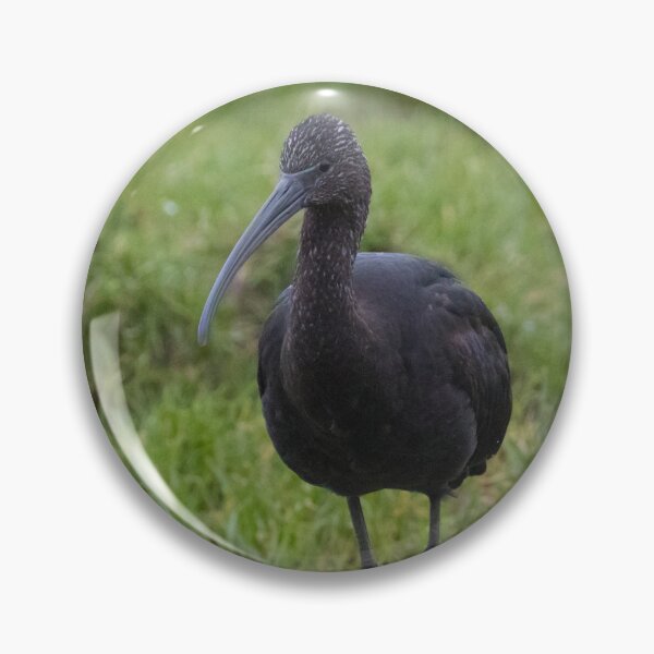 Item preview, Glossy Ibis designed and sold by LaurenTucker.