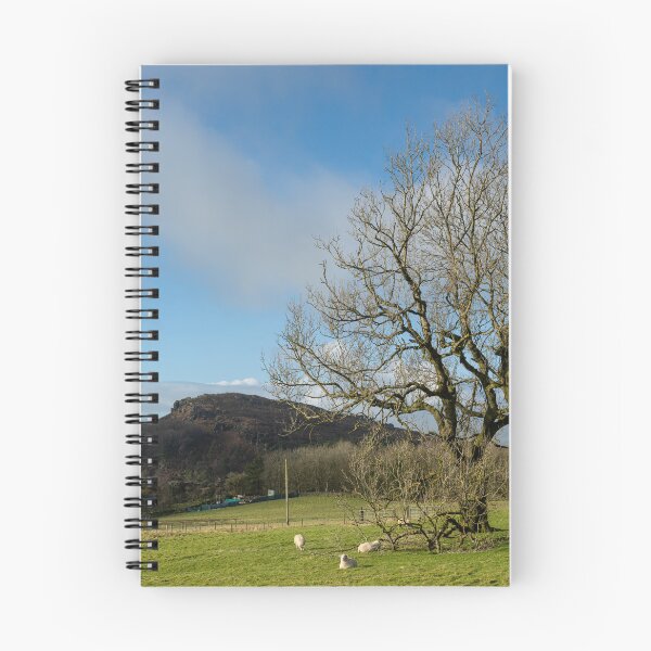 Item preview, Sheep grazing on the moors during winter designed and sold by RobThorley.