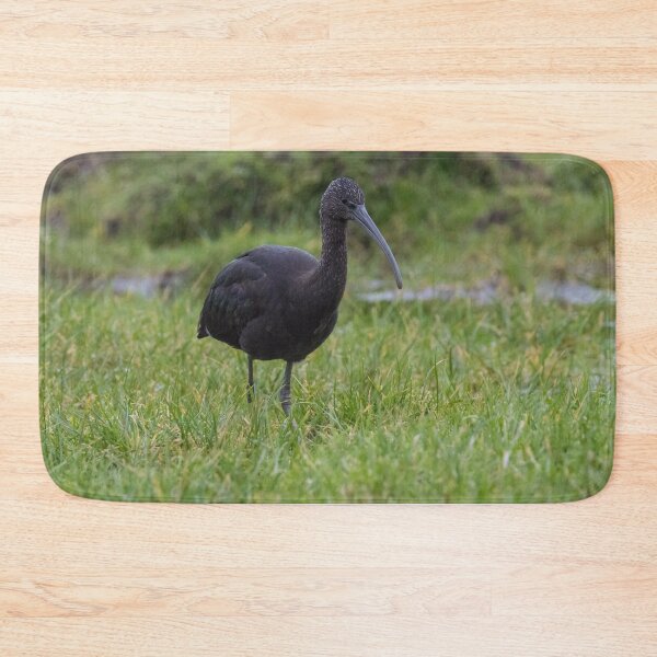 Item preview, Glossy Ibis designed and sold by LaurenTucker.