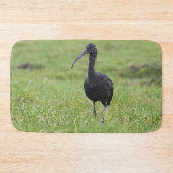 Item preview, Glossy Ibis designed and sold by LaurenTucker.