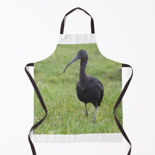 Item preview, Glossy Ibis designed and sold by LaurenTucker.