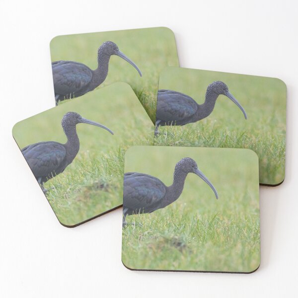 Item preview, Glossy Ibis designed and sold by LaurenTucker.