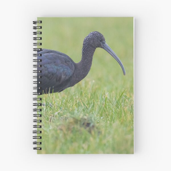 Item preview, Glossy Ibis designed and sold by LaurenTucker.
