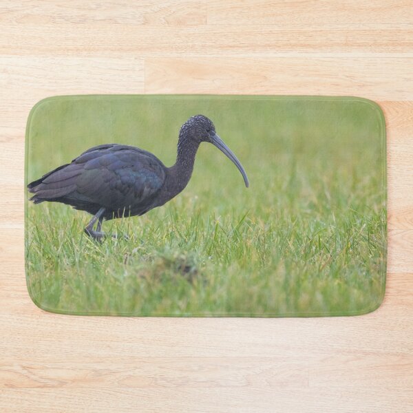 Item preview, Glossy Ibis designed and sold by LaurenTucker.
