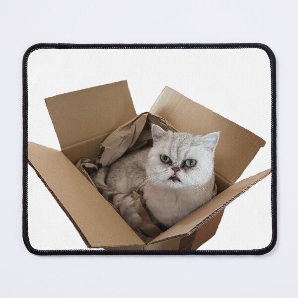 Item preview, A box of Cookie designed and sold by pursuitofloot.