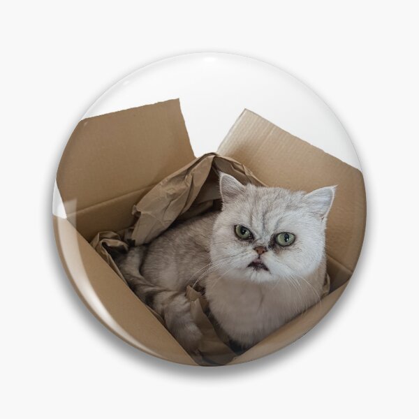Item preview, A box of Cookie designed and sold by pursuitofloot.