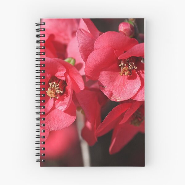 Item preview, Rich and Lush Flowering Quince designed and sold by Joy Watson - Natural Light Photography .