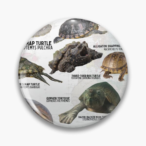 Item preview, Order Testudines Turtles of Alabama, USA designed and sold by wesleykshaver.