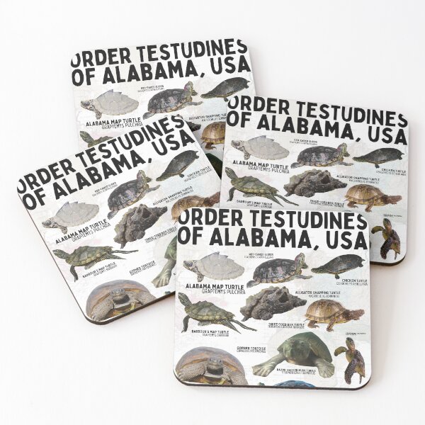 Item preview, Order Testudines Turtles of Alabama, USA designed and sold by wesleykshaver.