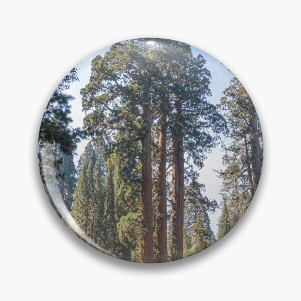 Item preview, Majestic Sentinel Tree in Sequoia National Park 2 designed and sold by jrtwynam.
