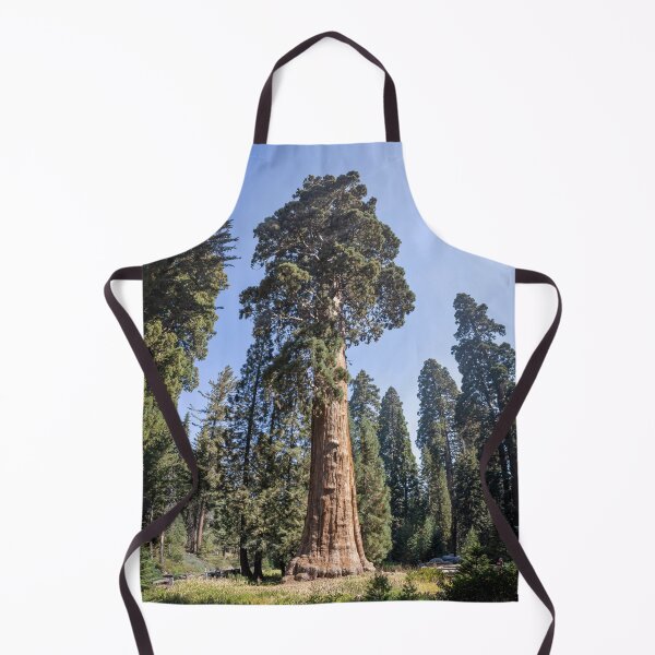 Item preview, Majestic Sentinel Tree in Sequoia National Park 1 designed and sold by jrtwynam.