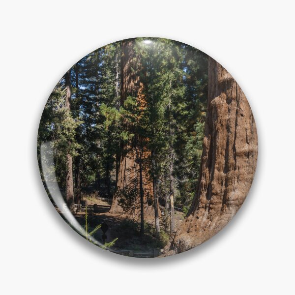 Item preview, Majestic Sentinel Tree in Sequoia National Park 3 designed and sold by jrtwynam.