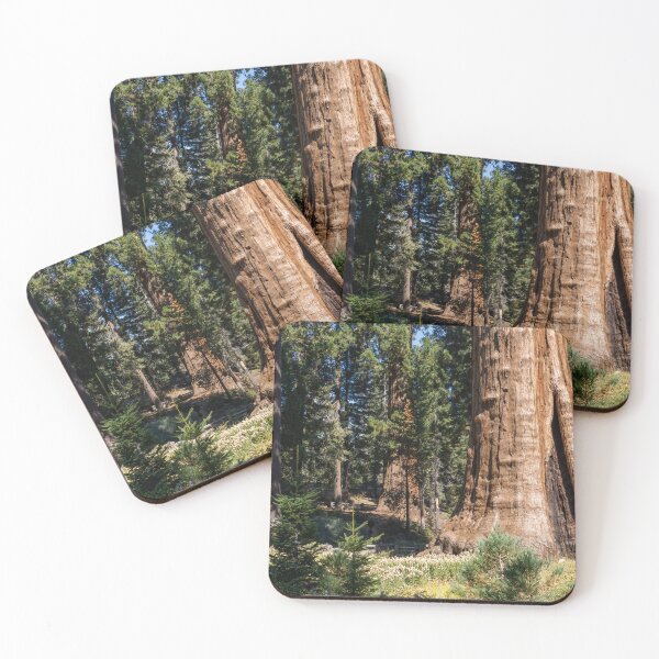 Item preview, Majestic Sentinel Tree in Sequoia National Park 3 designed and sold by jrtwynam.