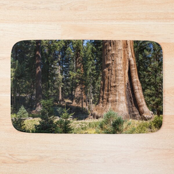 Item preview, Majestic Sentinel Tree in Sequoia National Park 3 designed and sold by jrtwynam.