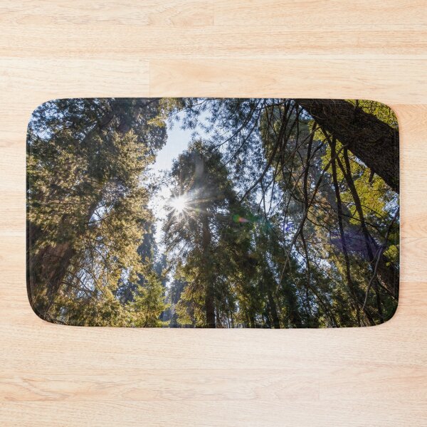 Item preview, Forest Scene in Sequoia National Park, California 1 designed and sold by jrtwynam.