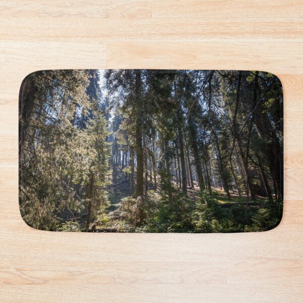 Item preview, Forest Scene in Sequoia National Park, California 2 designed and sold by jrtwynam.