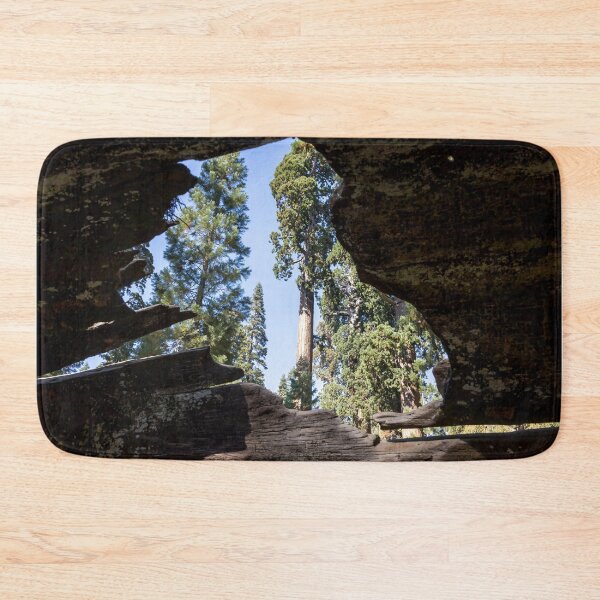 Item preview, View Through Fallen Sequoia, General Grant Trail designed and sold by jrtwynam.
