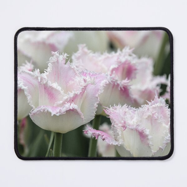 Item preview, Delicate Ruffled Tulips designed and sold by Your search is over, it’s here! .