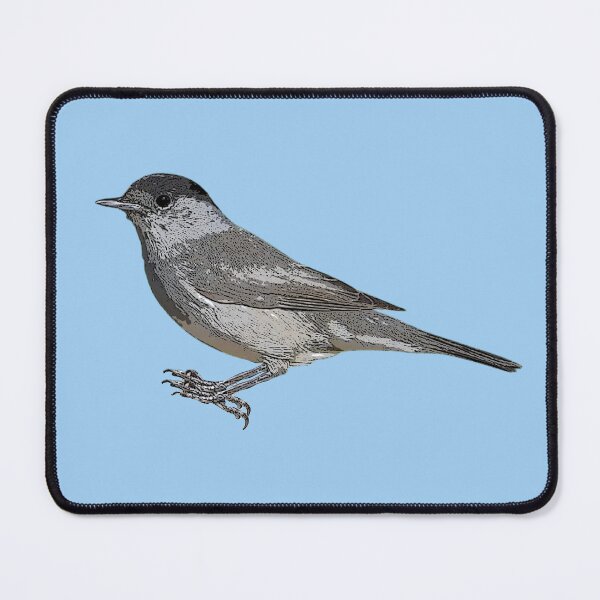 Item preview, Eurasian Blackcap Color Design  designed and sold by designsasstultd.