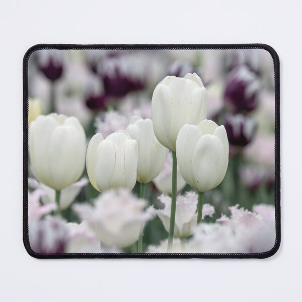 Item preview, Simply White designed and sold by Your search is over, it’s here! .