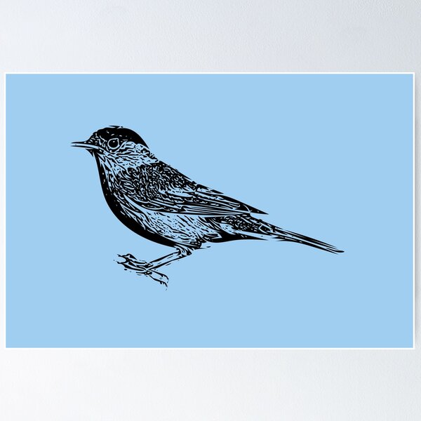 Item preview, Eurasian Blackcap Black Design  designed and sold by designsasstultd.