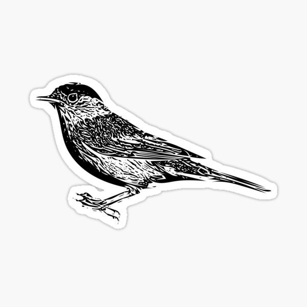 Item preview, Eurasian Blackcap Black Design  designed and sold by designsasstultd.