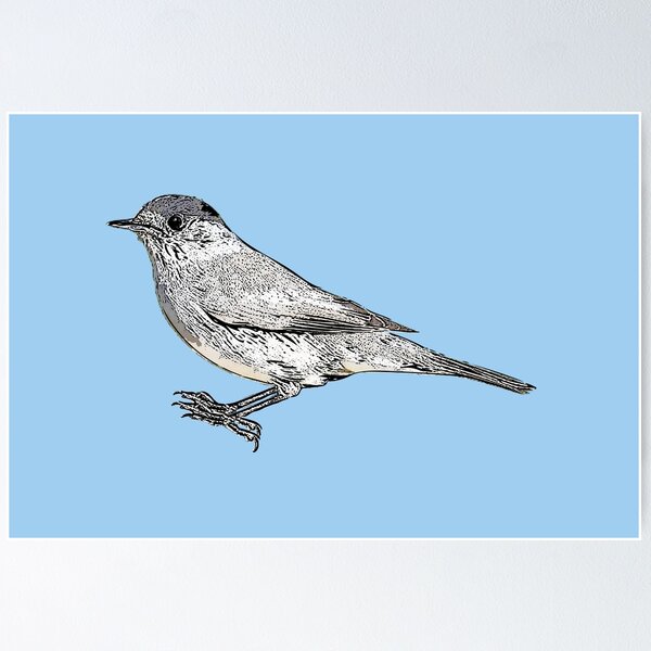 Item preview, Eurasian Blackcap Black Alternate Design  designed and sold by designsasstultd.