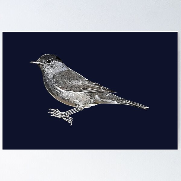 Item preview, Eurasian Blackcap White Alternate Design  designed and sold by designsasstultd.