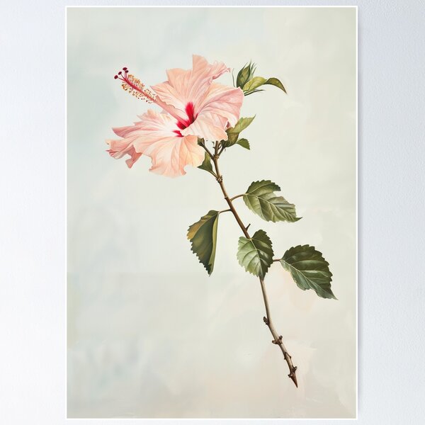 Item preview, Hibiscus Blossom – Elegant Floral Illustration designed and sold by D-a-y-d-r-e-a-m.