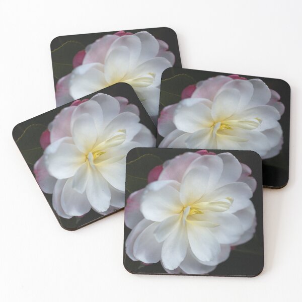 Item preview, Camellia Lushness Of Winter designed and sold by Joy Watson - Natural Light Photography .