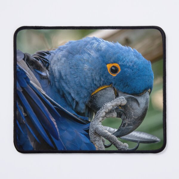 Item preview, Pretty bird, Pretty bird! designed and sold by Your search is over, it’s here! .