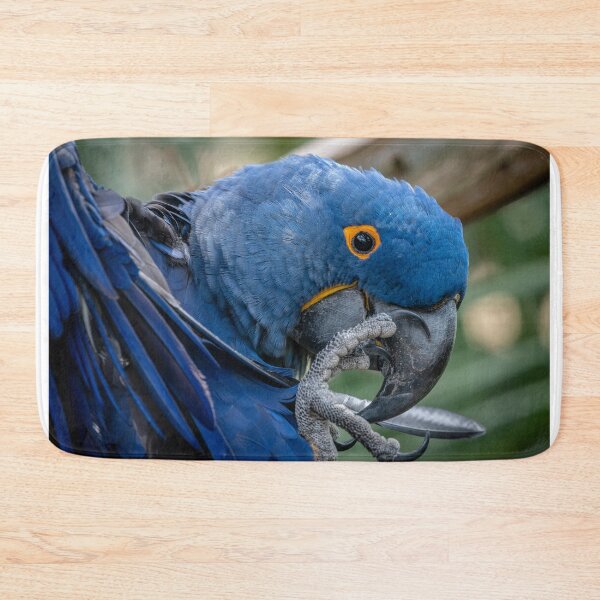 Item preview, Pretty bird, Pretty bird! designed and sold by Your search is over, it’s here! .