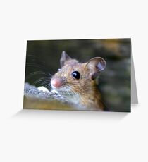 Anybody There? Greeting Card