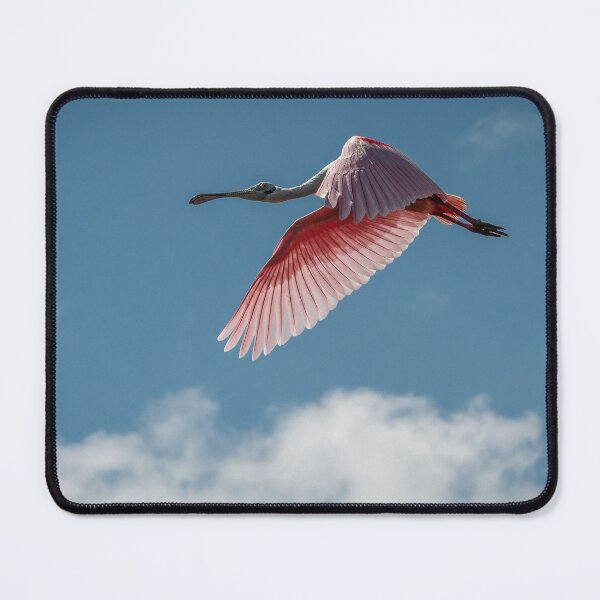 Item preview, Roseate Spoonbill cruising the Florida skies. designed and sold by Your search is over, it’s here! .