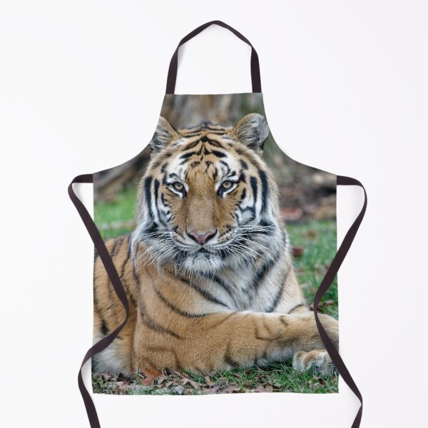 Item preview, Stunning Amur Tiger Portrait Relaxed Pose designed and sold by Your search is over, it’s here! .