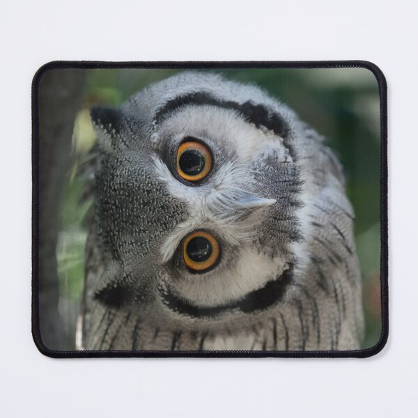 Item preview, Did you turn your head too? designed and sold by Your search is over, it’s here! .