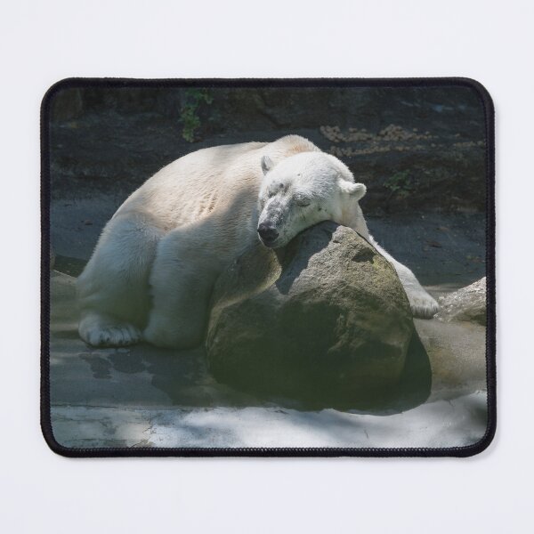 Item preview, Tundra taking a little nap after a hard day.  designed and sold by Your search is over, it’s here! .