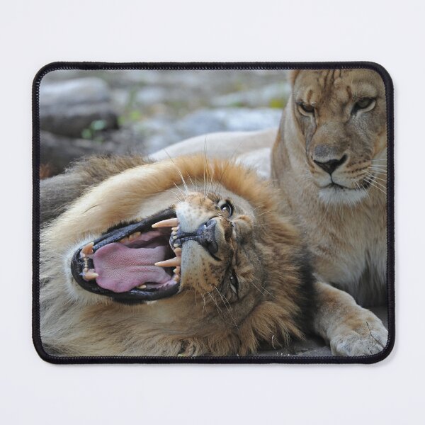 Item preview, Stop being so silly, you are King of the Jungle! designed and sold by Your search is over, it’s here! .