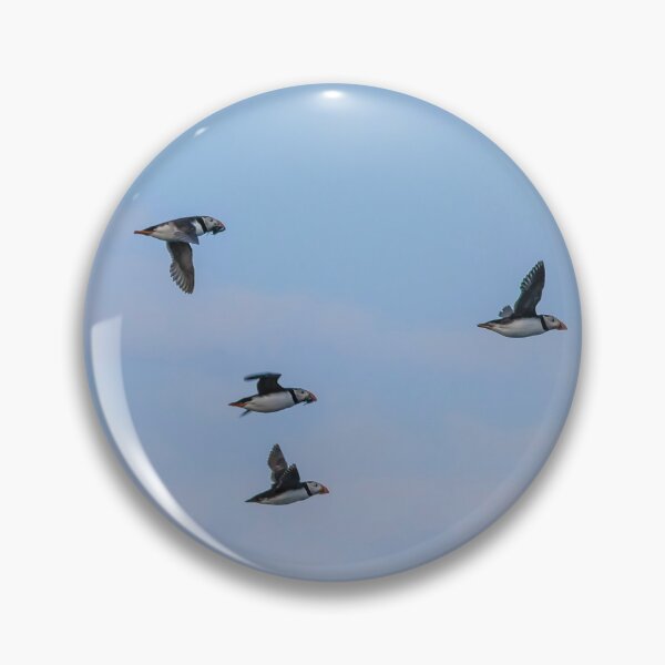 Item preview, Atlantic Puffins in Mid-Flight designed and sold by David Patterson.