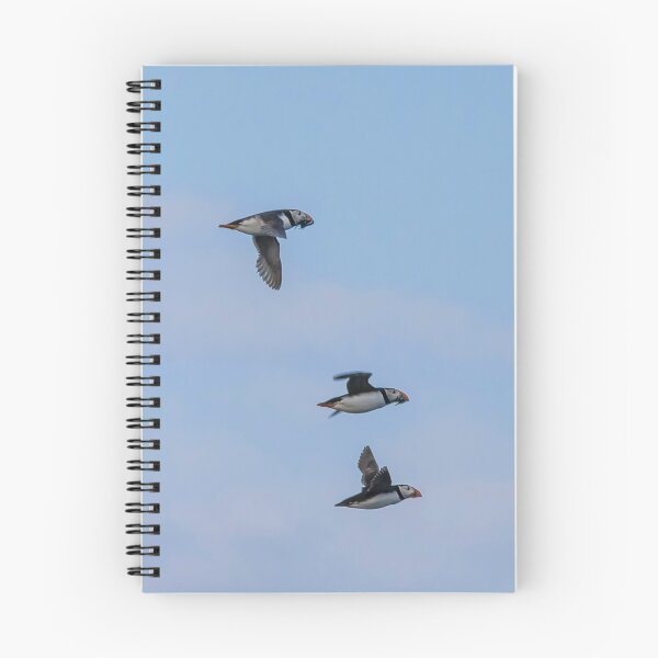 Item preview, Atlantic Puffins in Mid-Flight designed and sold by David Patterson.