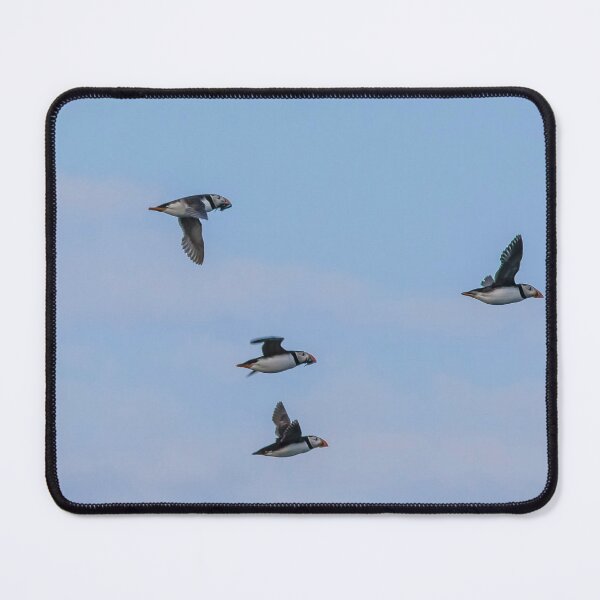 Item preview, Atlantic Puffins in Mid-Flight designed and sold by David Patterson.