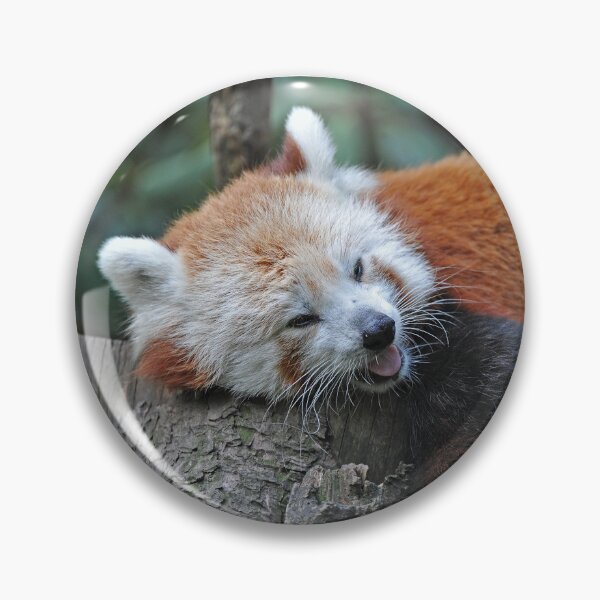 Item preview, I think it's time for my nap! designed and sold by Your search is over, it’s here! .