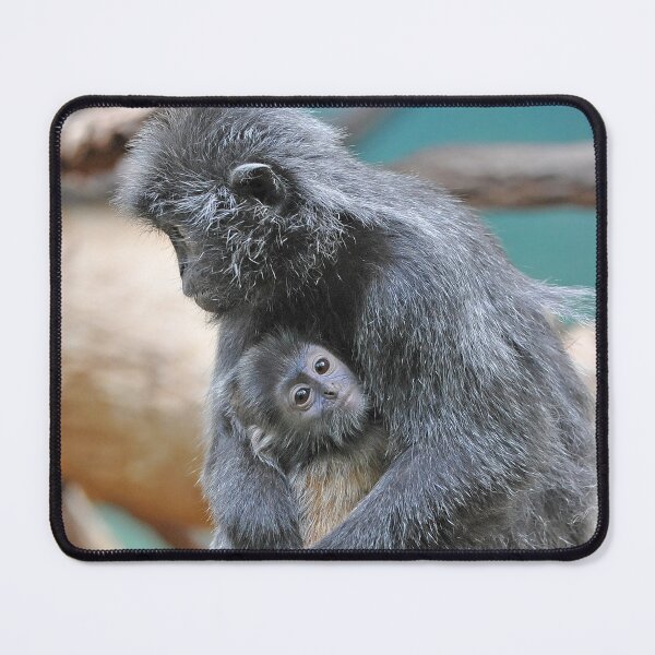 Item preview, Mommy, hold me tight! designed and sold by Your search is over, it’s here! .