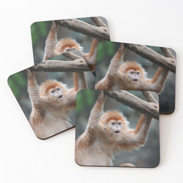 Item preview, OMG you've got to be kidding me! designed and sold by Your search is over, it’s here! .