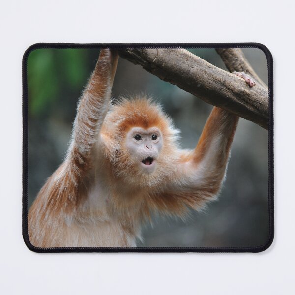 Item preview, OMG you've got to be kidding me! designed and sold by Your search is over, it’s here! .