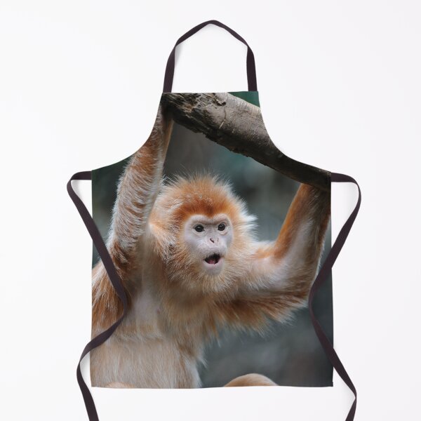 Item preview, ¡Dios mío, tienes que estar bromeando! designed and sold by Your search is over, it’s here! .