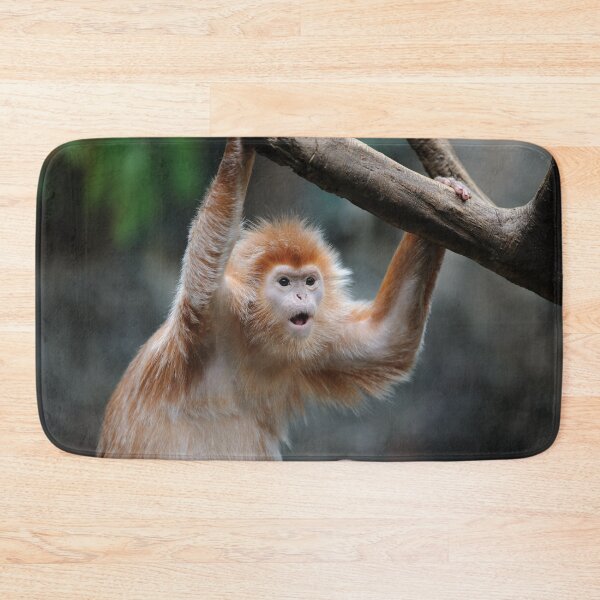 Item preview, OMG you've got to be kidding me! designed and sold by Your search is over, it’s here! .